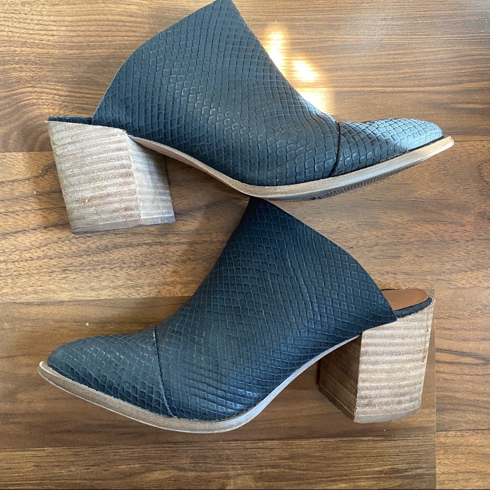DV by Dolce Vita “Trigger” Black Block Heel Mules